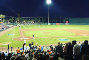 View of Ed Smith Stadium at night.