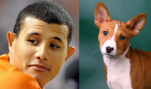 Manny Machado and a Basenji dog.