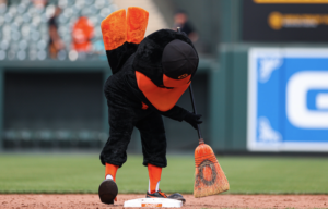 Oriole Bird sweep