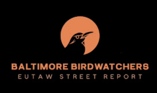 Baltimore Birdwatchers